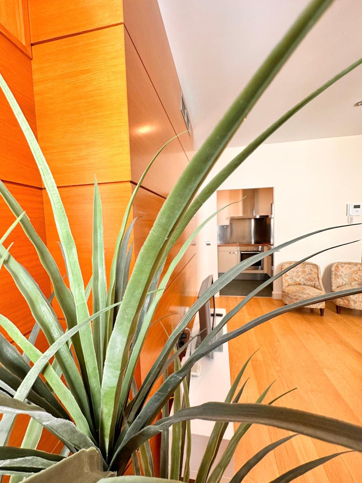 Penthouse Near Cathedral Private Rooftop Private Parking Севилья Экстерьер фото